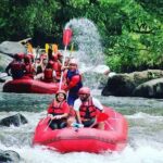 Bali Rafting Including Lunch and Transport - Who Will Love This Tour?