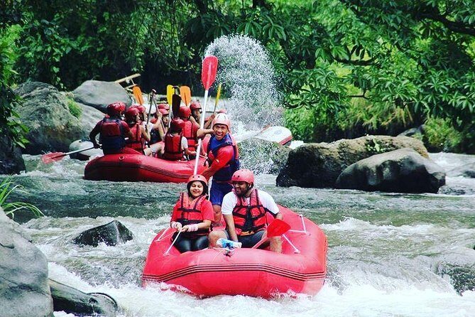 Bali Rafting Including Lunch and Transport - Who Will Love This Tour?