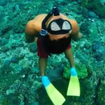 Bali Reef Cruise and Lembongan Island Day Trip - Who Is This Tour Best For?