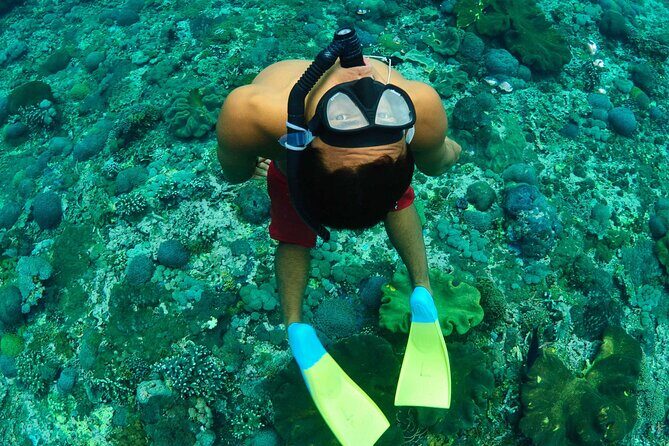 Bali Reef Cruise and Lembongan Island Day Trip - Who Is This Tour Best For?