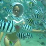 Bali Sea Walking Experience - Who Should Try This Experience?