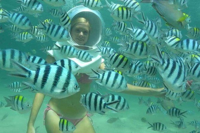 Bali Sea Walking Experience - Who Should Try This Experience?