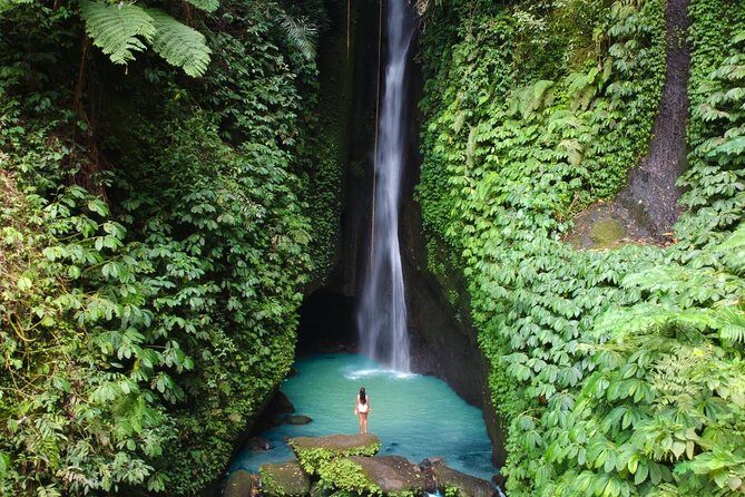 Bali Secret Waterfall Tour - Private and All-Inclusive - The Guide: The Heart of the Experience