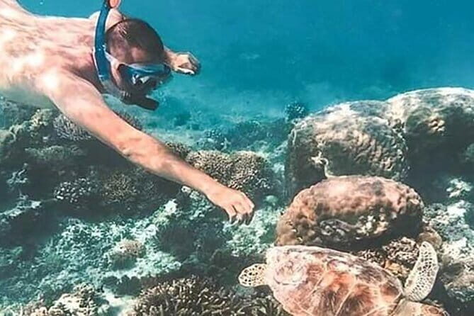 Bali Snorkeling at Blue Lagoon and Tanjung Jepun - Who Will Enjoy This Tour?