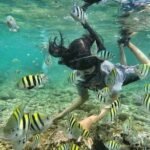 Bali Snorkeling at Blue Lagoon & Tanjung Jepun Beach: All-Inclusive - The Sum Up: Who Will Love This Tour?