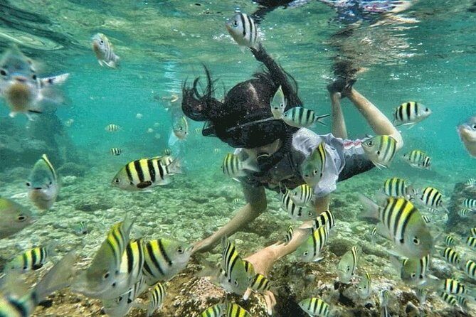 Bali Snorkeling at Blue Lagoon & Tanjung Jepun Beach: All-Inclusive - The Sum Up: Who Will Love This Tour?