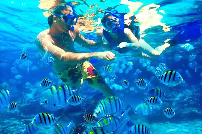 Bali Snorkeling Blue lagoon All Inclusive - Who This Tour Is Best For