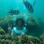 Bali Spa Tour, Beaches, Uluwatu Temple Sunset & Jimbaran Bay Dinner - Practical Details and Logistics