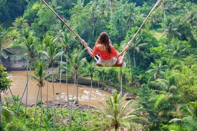 Bali Swing and Waterfall Tour - Bali Swing and Waterfall Tour: An Authentic Day of Adventure and Nature