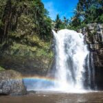 Bali Swing Ubud Hot Spring Waterfall Private Tour Free WiFi - FAQ
