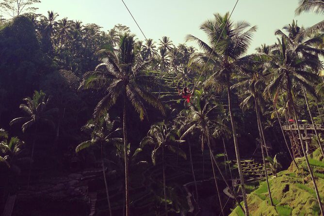 Bali swing, Waterfall, Tanah lot Tour - Exploring Bali’s Highlights in One Day