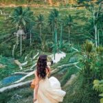 Bali Tour : Best Attractions in Ubud with Rice Terrace - FAQ