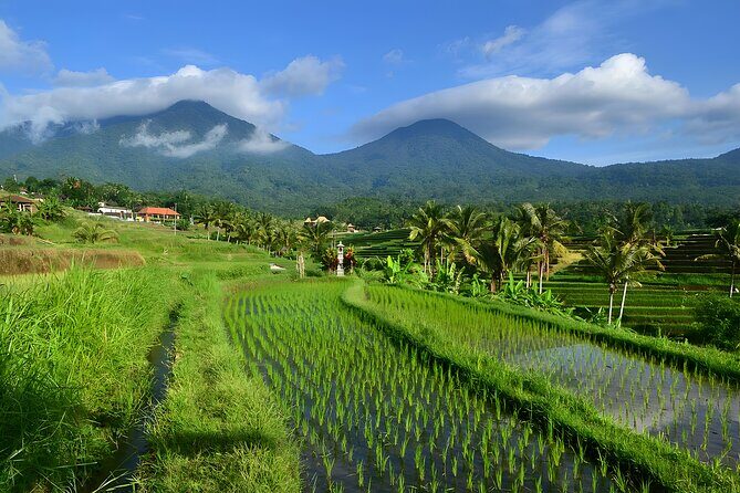 Bali Tour-Packages 3 Days: Best Bali Short Trip - Transport, Timing, and Group Size