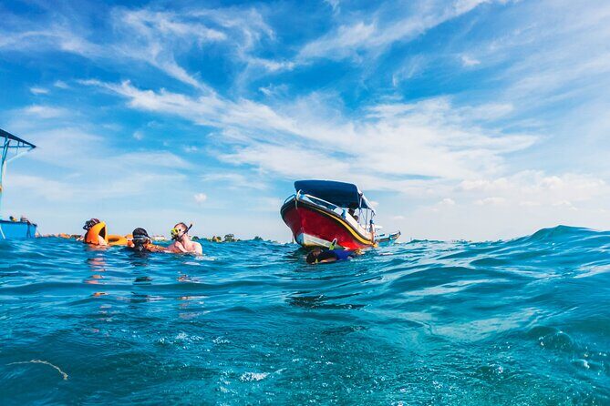 Bali Tropical Snorkeling and Mangrove Cruise - Who Should Consider This Tour?