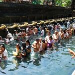 Bali Ubud and Volcano Day Tours - Who Will Love This Tour?