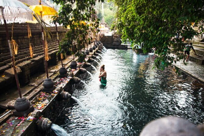 Bali: Ubud (Temple, Spring, Rice Terraces, & Waterfall) - Optional Stops and Personalization