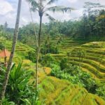 Bali Ubud Tour - FAQ