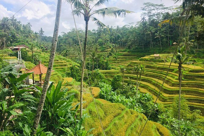 Bali Ubud Tour - FAQ