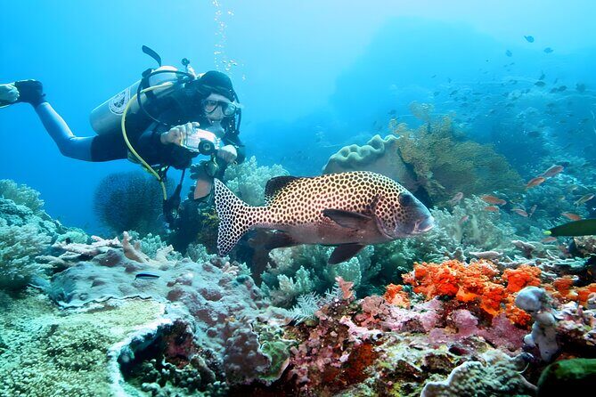 Bali Water Sport Packages in Tanjung Benoa Nusa Dua - Breakdown of the Day