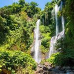 Bali Waterfalls Tour - One Day Private Tour - Final Thoughts
