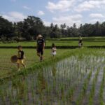 Balinese Cooking Class at Organic Farm - Authentic, Delicious, and Supportive of Community