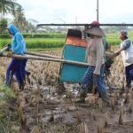 Balinese cooking school (9 Dish Cooking and Market Tour) - A Deep Dive into the Experience