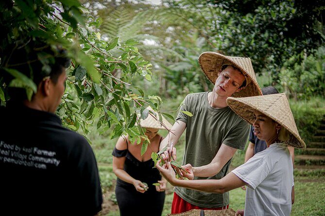 Balinese Farm Cooking Class by Pemulan Bali - Exploring the Details of the Pemulan Bali Farm Cooking Class