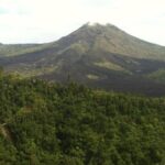 Balinese Life Style Tour - Practical Details and What You Should Know