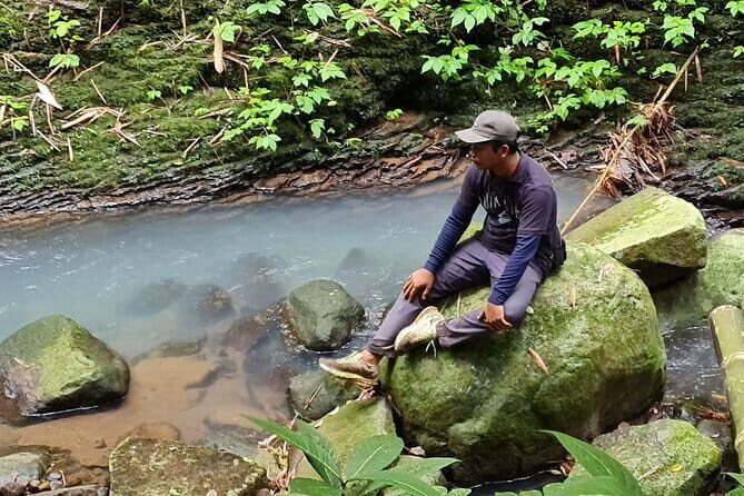 Balis Mystical Jungle Trek & Hidden Waterfall Adventure - Who Will Love This Tour?