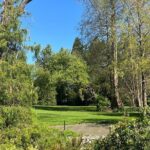 Ballard Locks Walking Activity Seattle - FAQ: Common Questions About the Ballard Locks Walking Activity