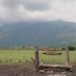 Baluran Trip - Detailed Review: Why It Matters