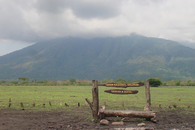 Baluran Trip - Detailed Review: Why It Matters