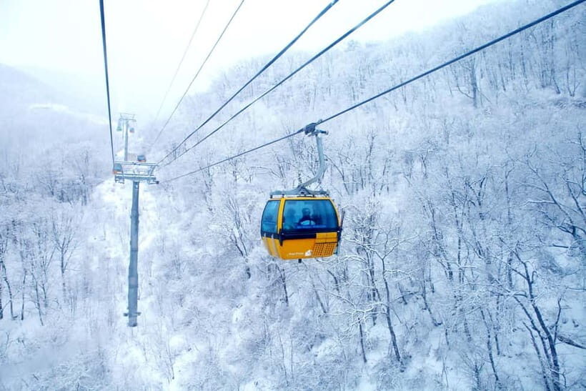 Balwangsan Cable Car & Samyang Ranch One Day Tour - Who Should Consider This Tour?
