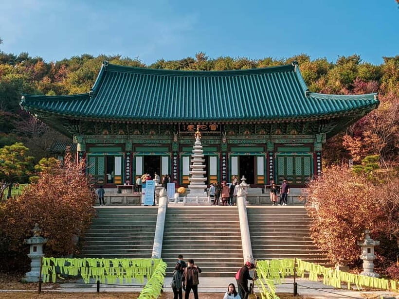 Balwangsan Day Tour: Forest Trails & Scenic Highland Views - The Value of This Tour