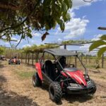 Bamboo Dune Buggy Tour - FAQs about the Bamboo Dune Buggy Tour
