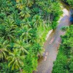 Bamboo Rafting and Sea Turtle Conservation Center Half Day Tour From Khao Lak - FAQs