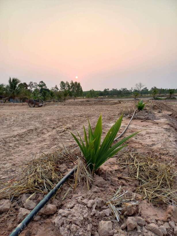 Ban Chik: Organic Farm Tour with Tasting - Why This Tour Matters for Travelers