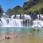 Ban Gioc Waterfall - Nguom Ngao Cave 1 Day - Detailed Breakdown of the Itinerary