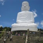 Bana Hills Tour 1 Day from center of Danang City - Who Is This Tour Best For?