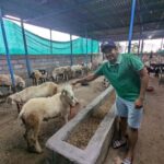 Bangalore: Big Barn Farm Visit with Animal Interactions - Who Should Consider This Tour?