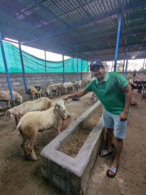 Bangalore: Big Barn Farm Visit with Animal Interactions - Who Should Consider This Tour?