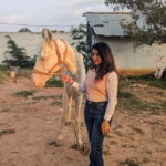 Bangalore: Horse Riding Safari Tour - Practical Tips for a Great Experience