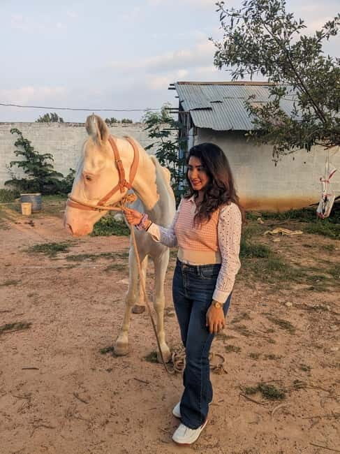 Bangalore: Horse Riding Safari Tour - Practical Tips for a Great Experience