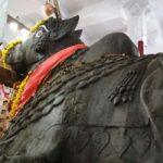 Bangalore: Private Half-Day Sightseeing Tour - Who This Tour Is Best For