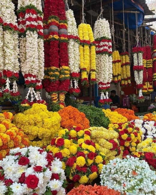 Bangalore: Sacred Bull & Culture Walk in Basavanagudi - Who Is This Tour Best For?