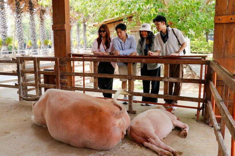 Bangkok: Damnoen Saduak and Train Market with Boat Ride - Frequently Asked Questions