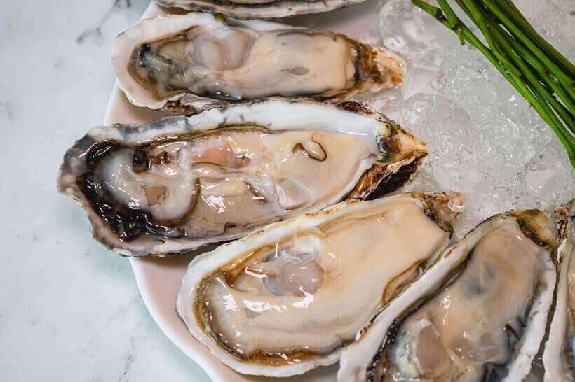 Bangkok: Na Klongwan F&B Package - Authentic Experiences and Genuine Feedback