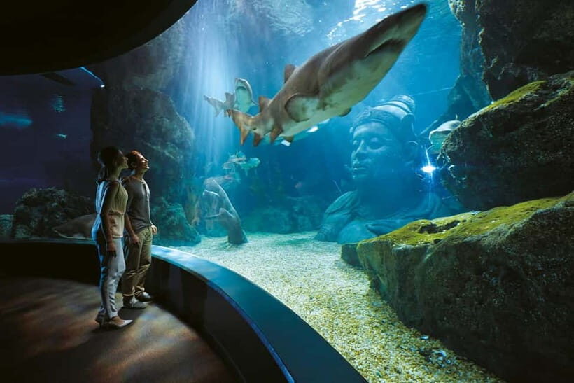 Bangkok: SEA LIFE Bangkok Ocean World Entry Ticket - Authentic Feedback from Visitors