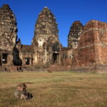 Bangkok to Ayutthaya Lopburi Monkey Temple, Largest Buddha Tour - What’s Included and What to Expect
