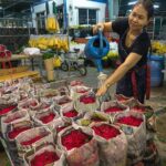 Bangkok Tour By Selfie Expert : LittleIndia, WatTraimit, WatPho - Why This Tour is Worth It